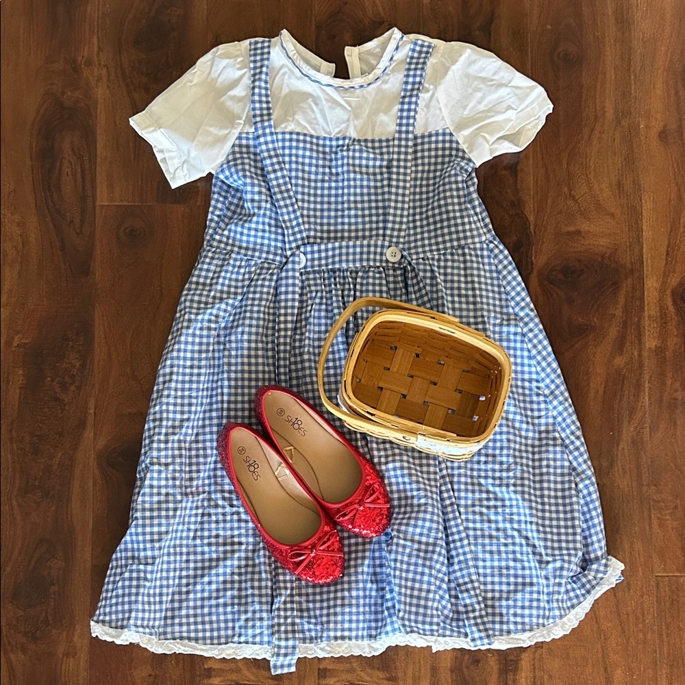 Dorothy Wizard of Oz Costume - Girls Size 10/12 - Shoes, Dress, & Basket